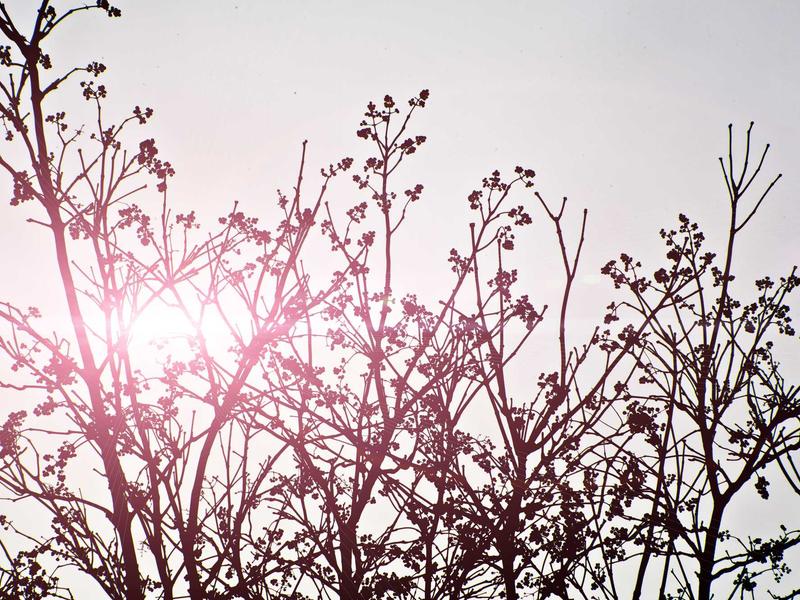 sudoku tablet version screenshot 6