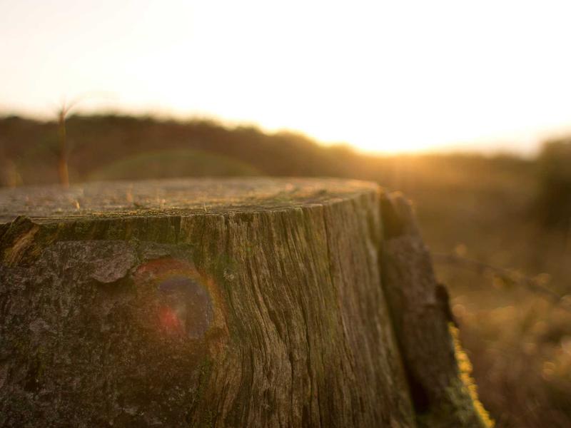 sudoku tablet version screenshot 1